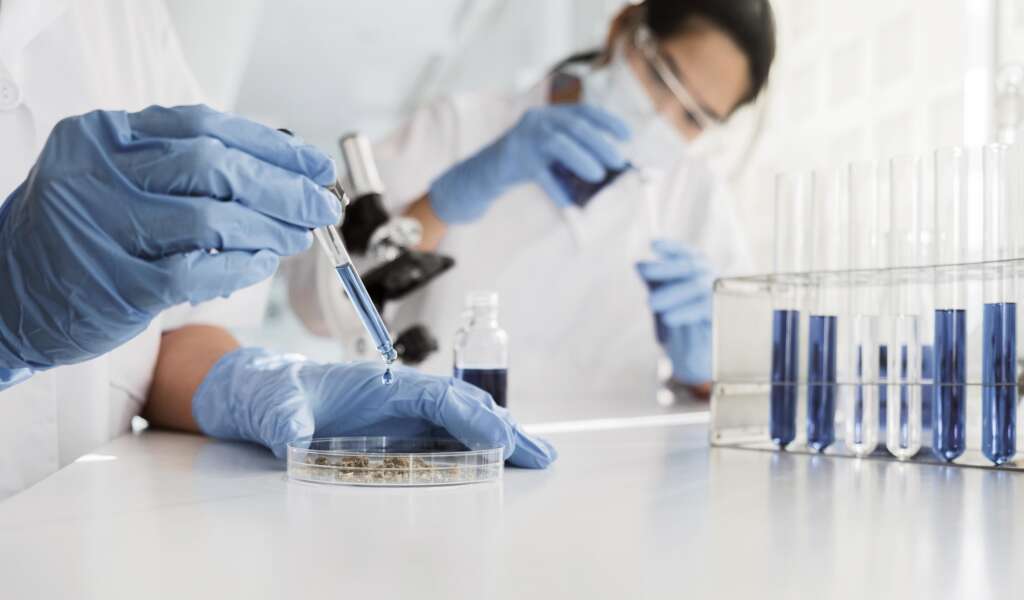 laboratorio