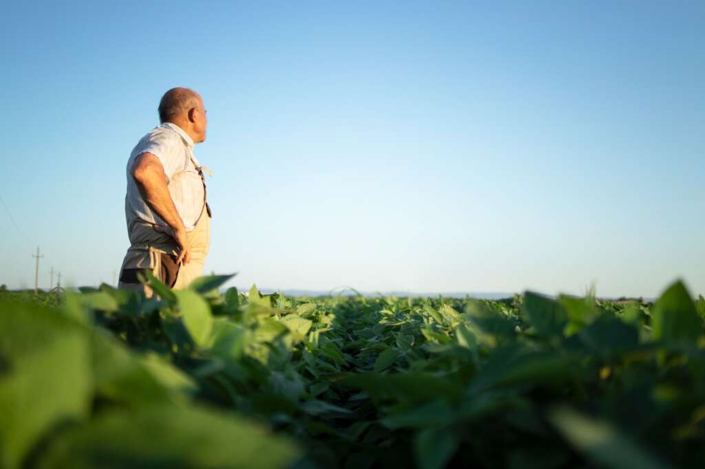 Cada 9 de septiembre se celebra el Día Mundial de la Agricultura para conmemorar la fundación de la FAO y poner en valor el esfuerzo diario de los agricultores para la producción de alimentos de calidad y el abastecimiento de la población mundial.