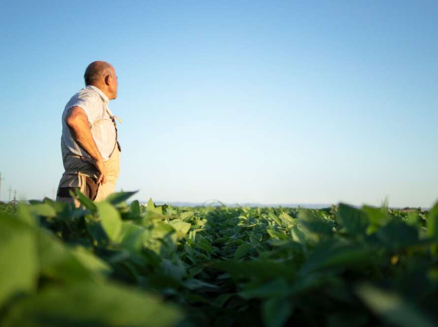 Cada 9 de septiembre se celebra el Día Mundial de la Agricultura para conmemorar la fundación de la FAO y poner en valor el esfuerzo diario de los agricultores para la producción de alimentos de calidad y el abastecimiento de la población mundial.